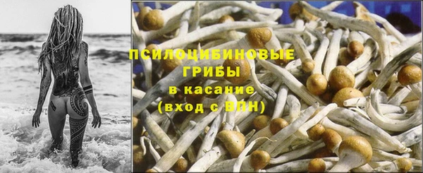 меф Алексин